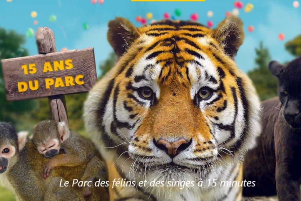 Cocon A La Campagne - Disney 20 Min - Paris 40 Min - 2 Terrasses Dammartin-sur-Tigeaux 外观 照片